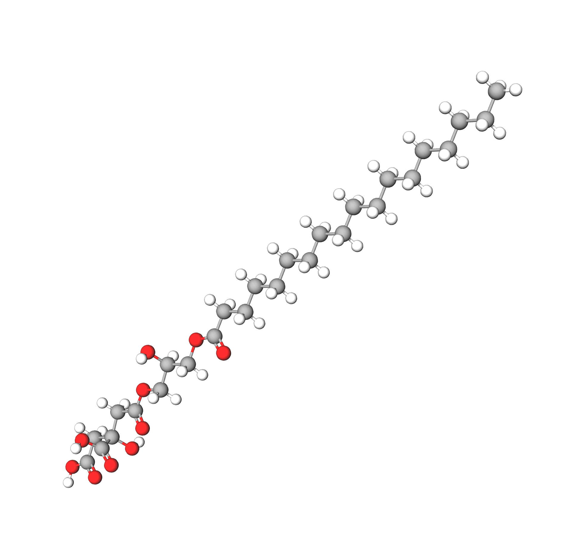Glyceryl Stearate Citrate Cosmetic Ingredients Guide glyceryl-stearate-citrate-cosmetic-ingredients-guide